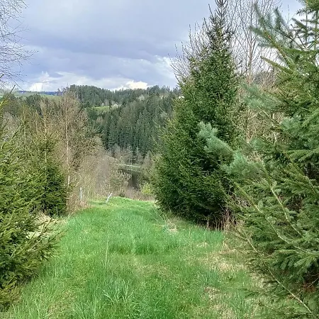 Reiter By Interhome * Berg bei Rohrbach