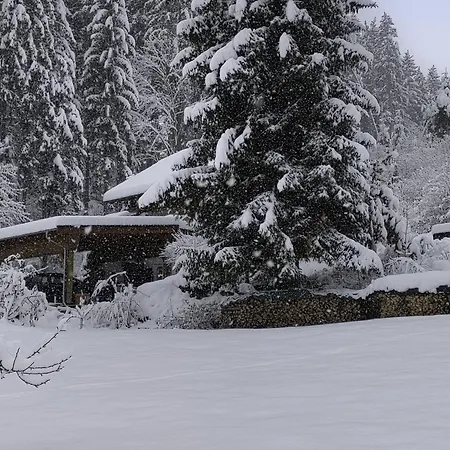 Tatil Evi Reiter By Interhome Berg bei Rohrbach