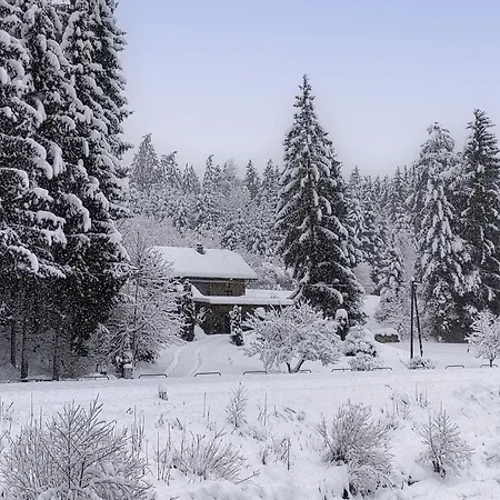 Prázdninový dům Reiter By Interhome