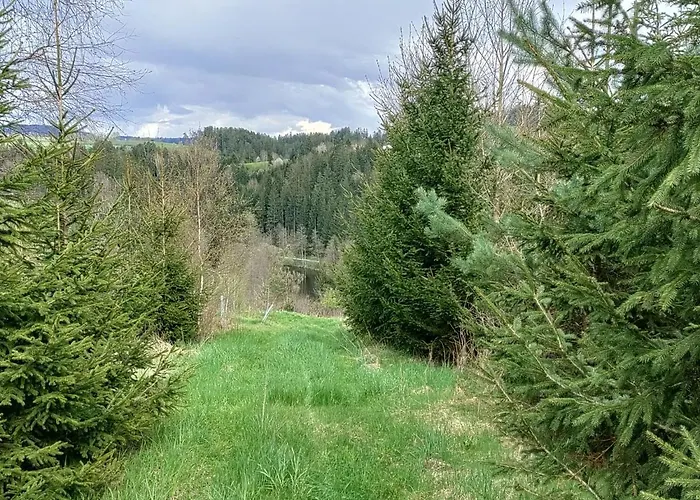 Reiter By Interhome * Berg bei Rohrbach