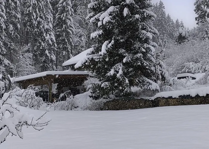 Tatil Evi Reiter By Interhome Berg bei Rohrbach