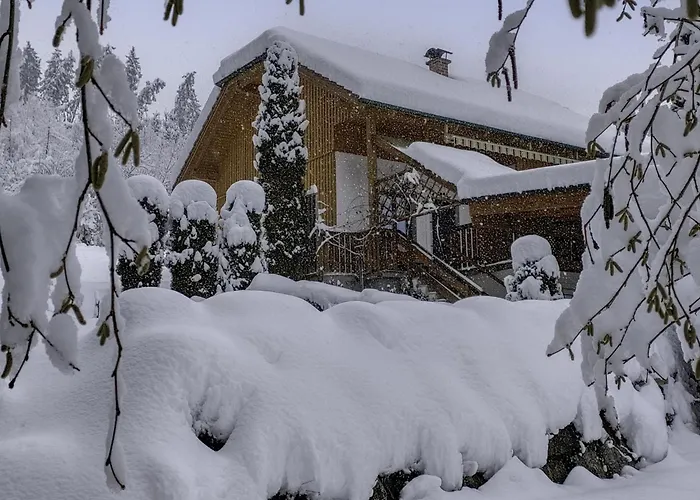 Reiter By Interhome Tatil Evi